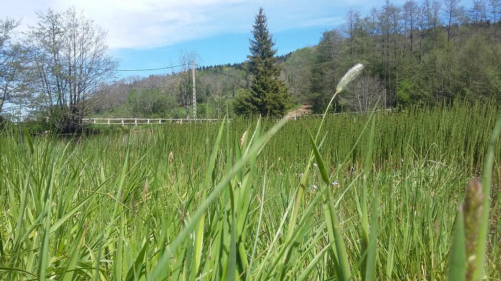 Camping De Flechat Hotell Orcival Eksteriør bilde